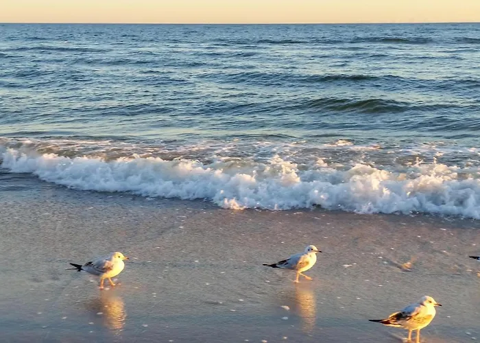Gorgeous In With Sauna